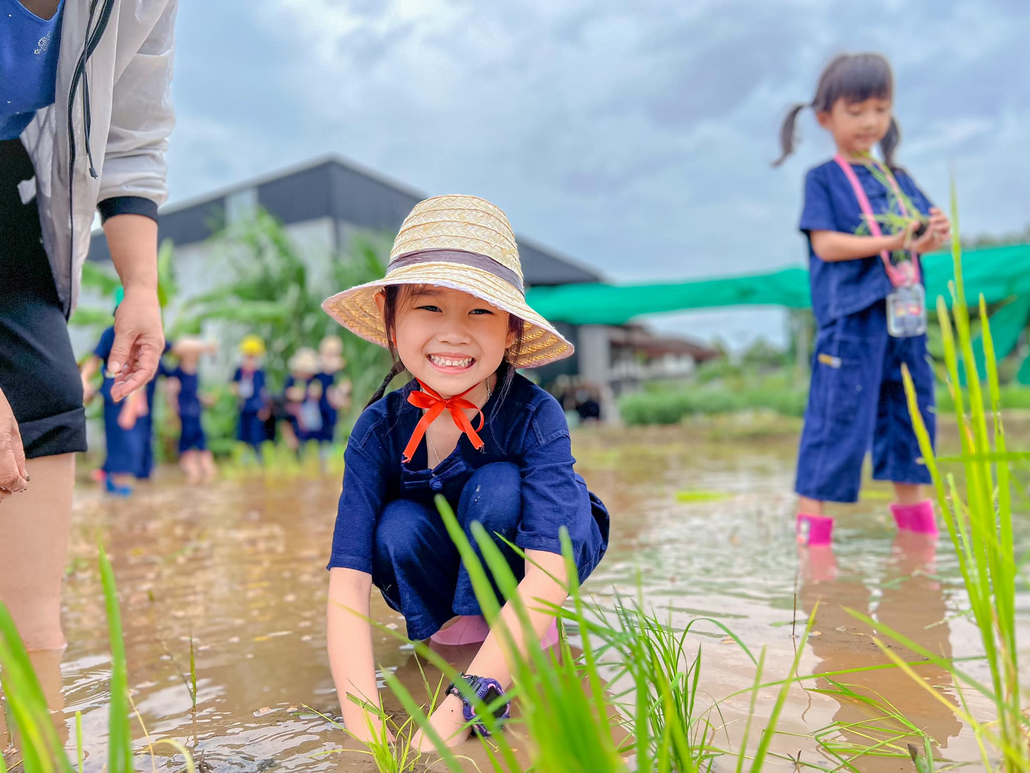 Sangtawon Pattana students learning together in the school rice field